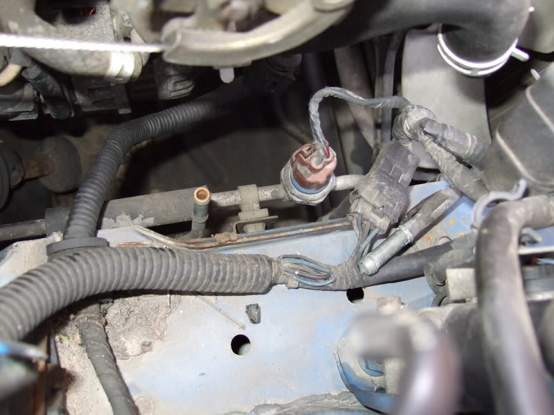 Name:  DSCF1338.jpg
Views: 112
Size:  72.5 KB