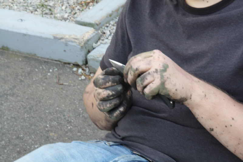 Name:  IMG_8750.jpg
Views: 227
Size:  50.5 KB