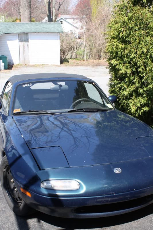 Name:  IMG_8516.jpg
Views: 245
Size:  117.1 KB