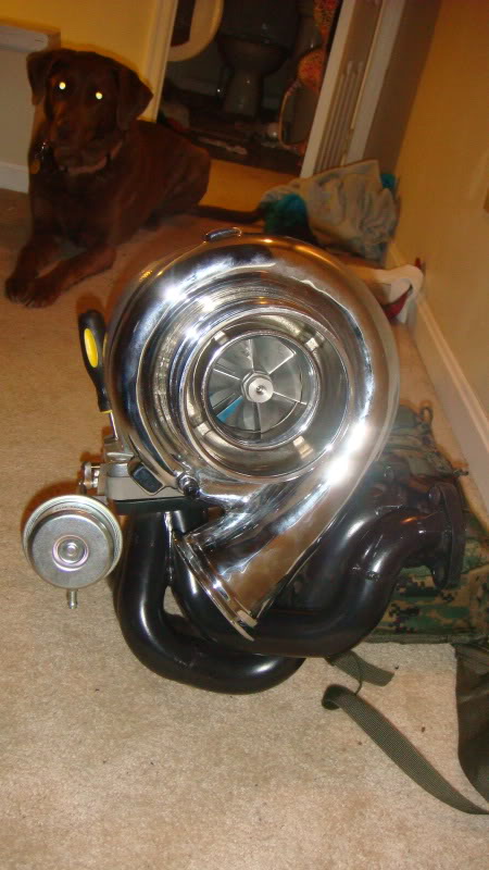 Name:  DSC01658.jpg
Views: 211
Size:  70.9 KB