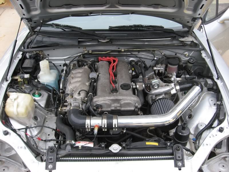 Name:  IMG_0338800x600.jpg
Views: 187
Size:  102.7 KB