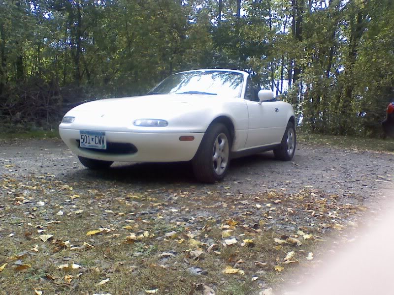 Name:  leaves.jpg
Views: 346
Size:  125.6 KB