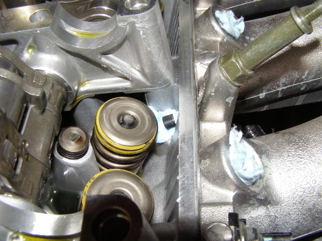 Name:  P1010049-1.jpg
Views: 567
Size:  133.0 KB