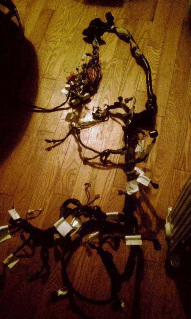 Name:  miataengineharness-1.jpg
Views: 168
Size:  99.8 KB