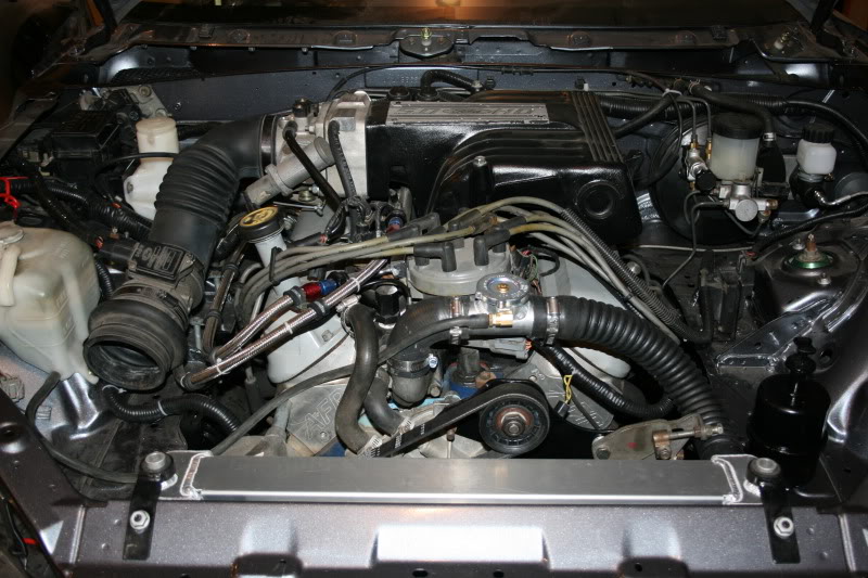 Name:  IMG_1462.jpg
Views: 195
Size:  102.4 KB