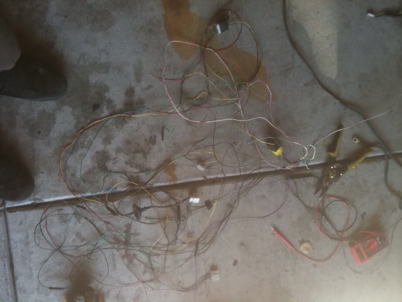 Name:  photo-1222.jpg
Views: 116
Size:  55.1 KB