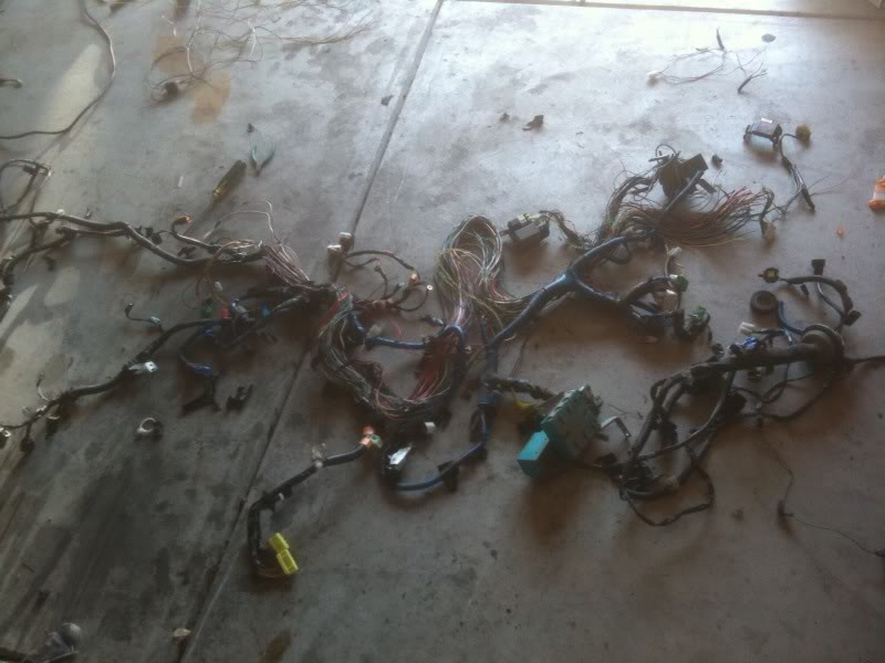 Name:  photo-2369.jpg
Views: 123
Size:  62.1 KB