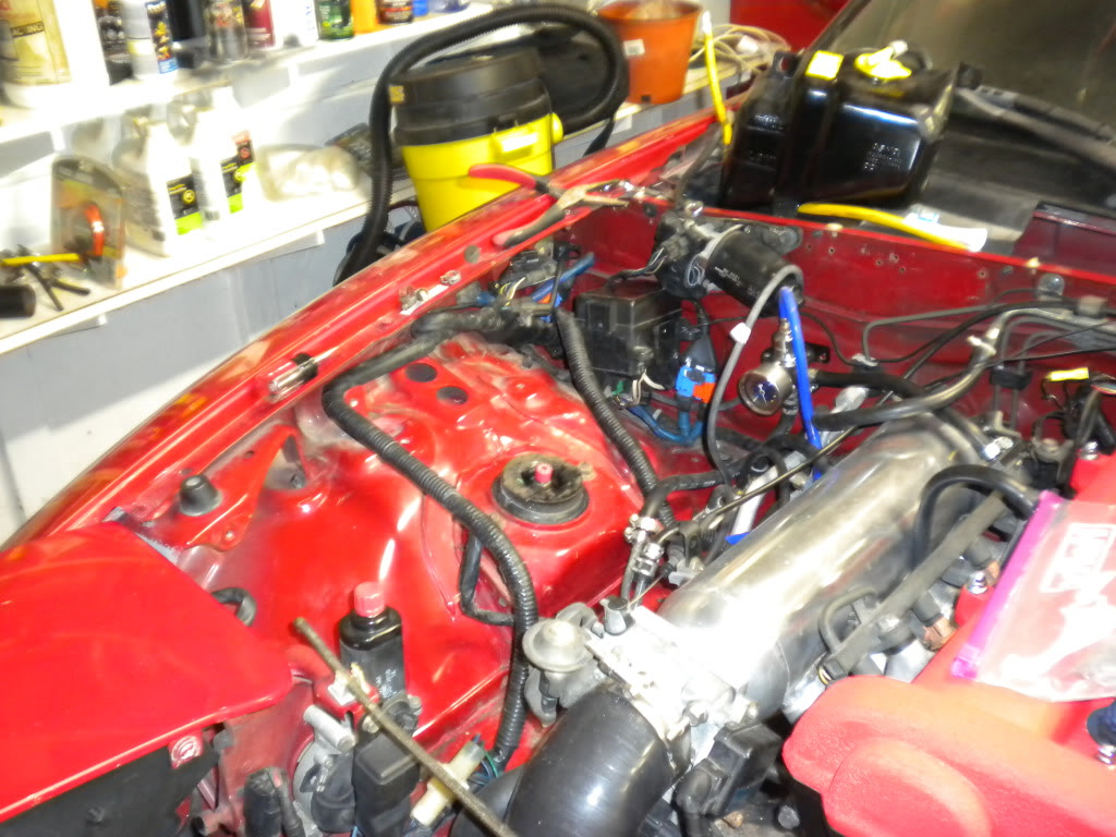 Name:  DSCN0709.jpg
Views: 837
Size:  174.2 KB