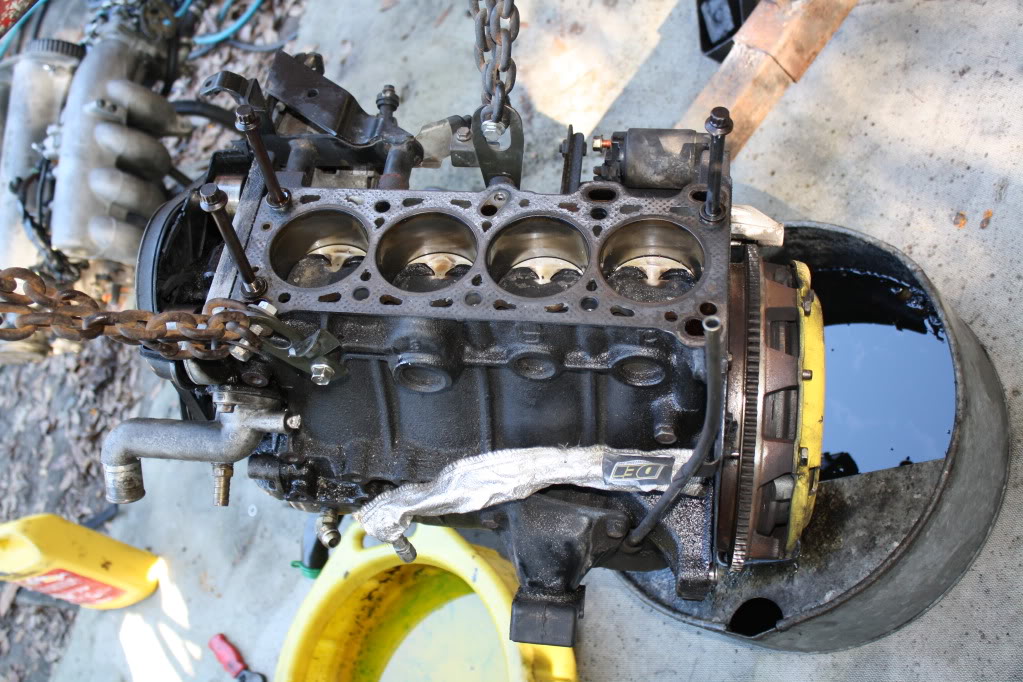 Name:  IMG_2348.jpg
Views: 87
Size:  163.1 KB