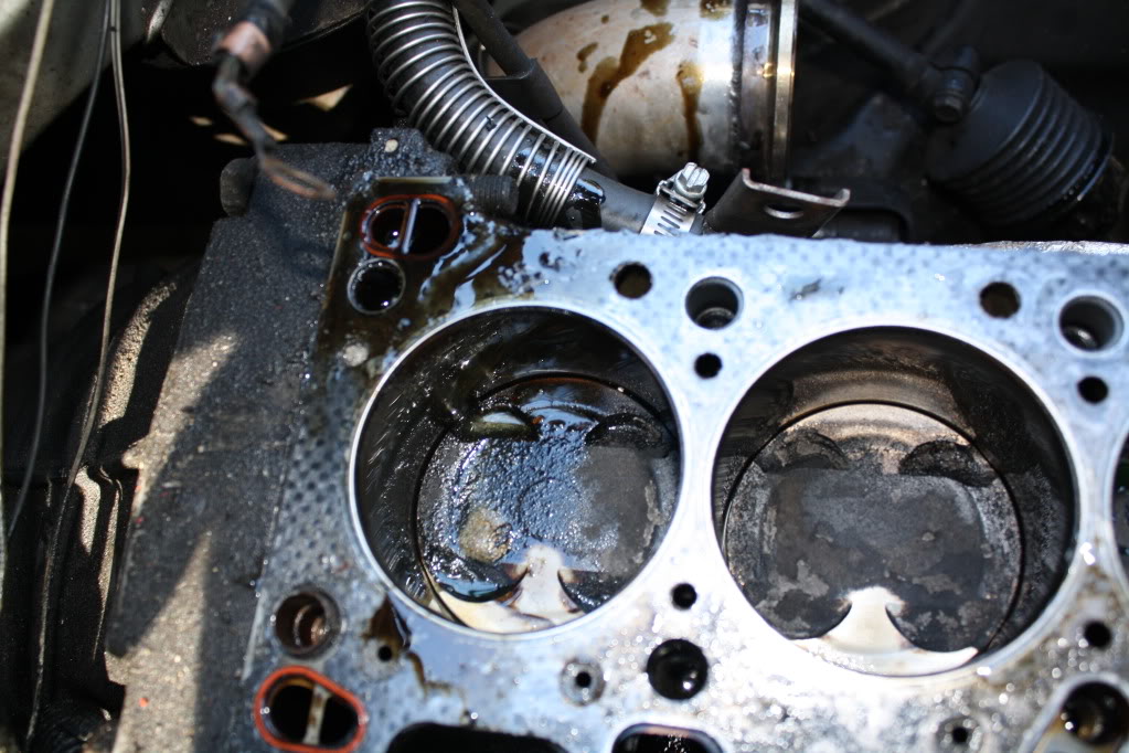 Name:  IMG_2328.jpg
Views: 96
Size:  136.3 KB