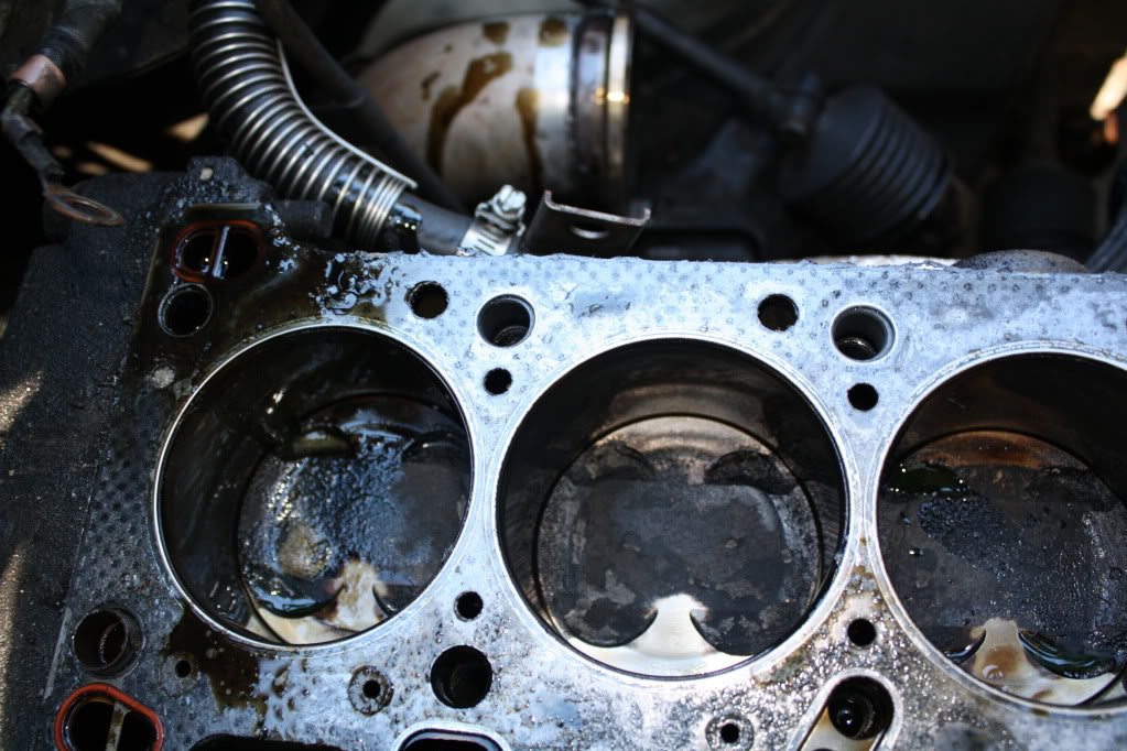 Name:  IMG_2329.jpg
Views: 103
Size:  147.2 KB