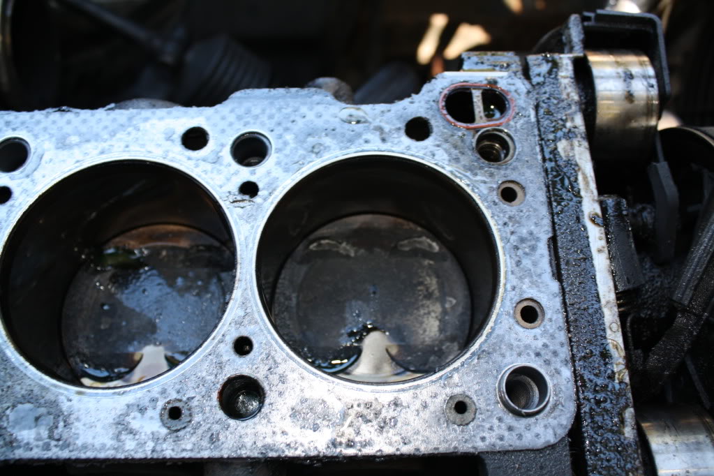 Name:  IMG_2331.jpg
Views: 81
Size:  132.7 KB