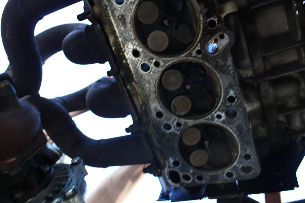 Name:  IMG_2333.jpg
Views: 87
Size:  71.6 KB