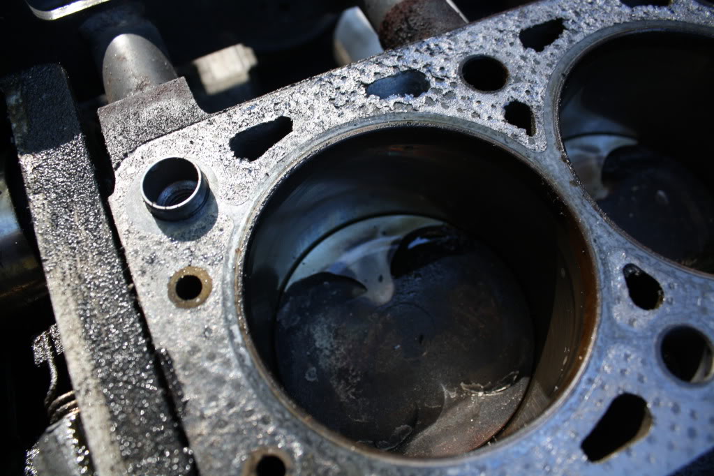 Name:  IMG_2339.jpg
Views: 109
Size:  133.6 KB