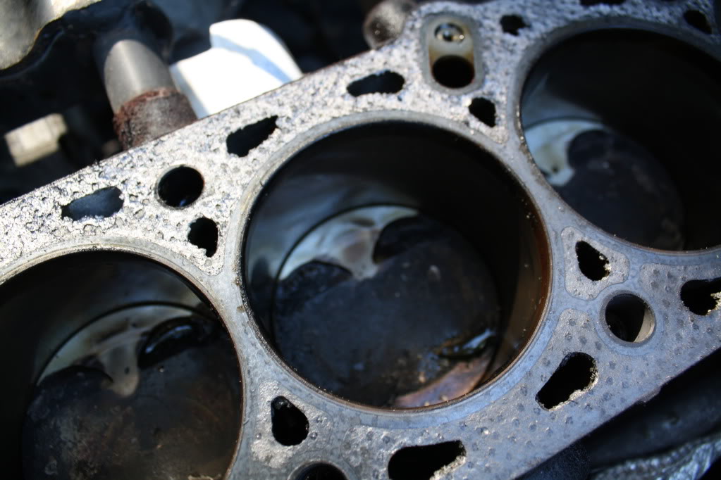 Name:  IMG_2340.jpg
Views: 106
Size:  100.6 KB