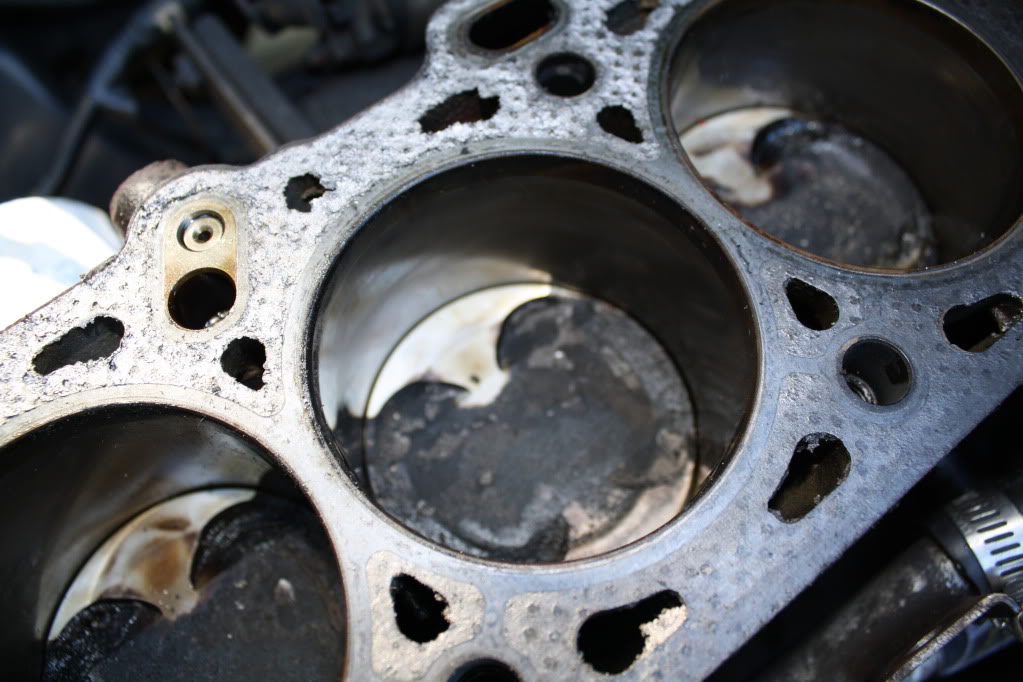 Name:  IMG_2341.jpg
Views: 103
Size:  109.2 KB