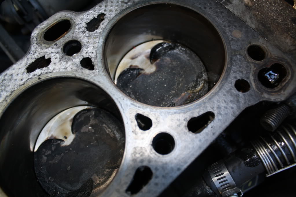 Name:  IMG_2342.jpg
Views: 82
Size:  101.5 KB