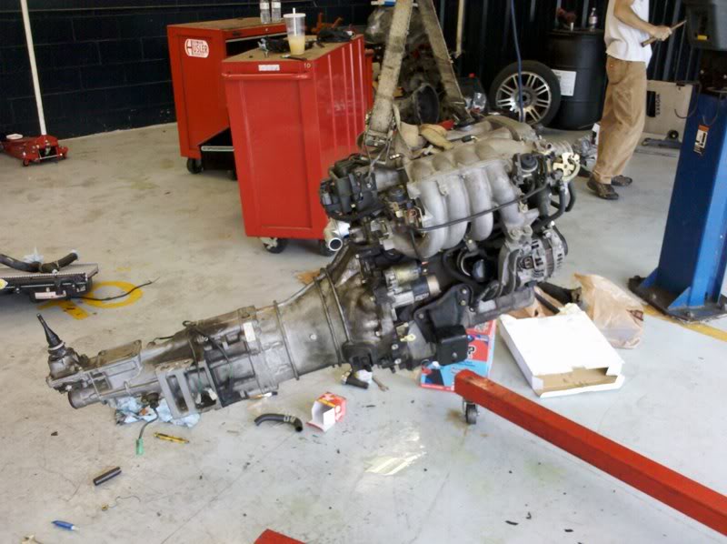 Name:  IMG_20101120_130239800x600.jpg
Views: 185
Size:  74.0 KB