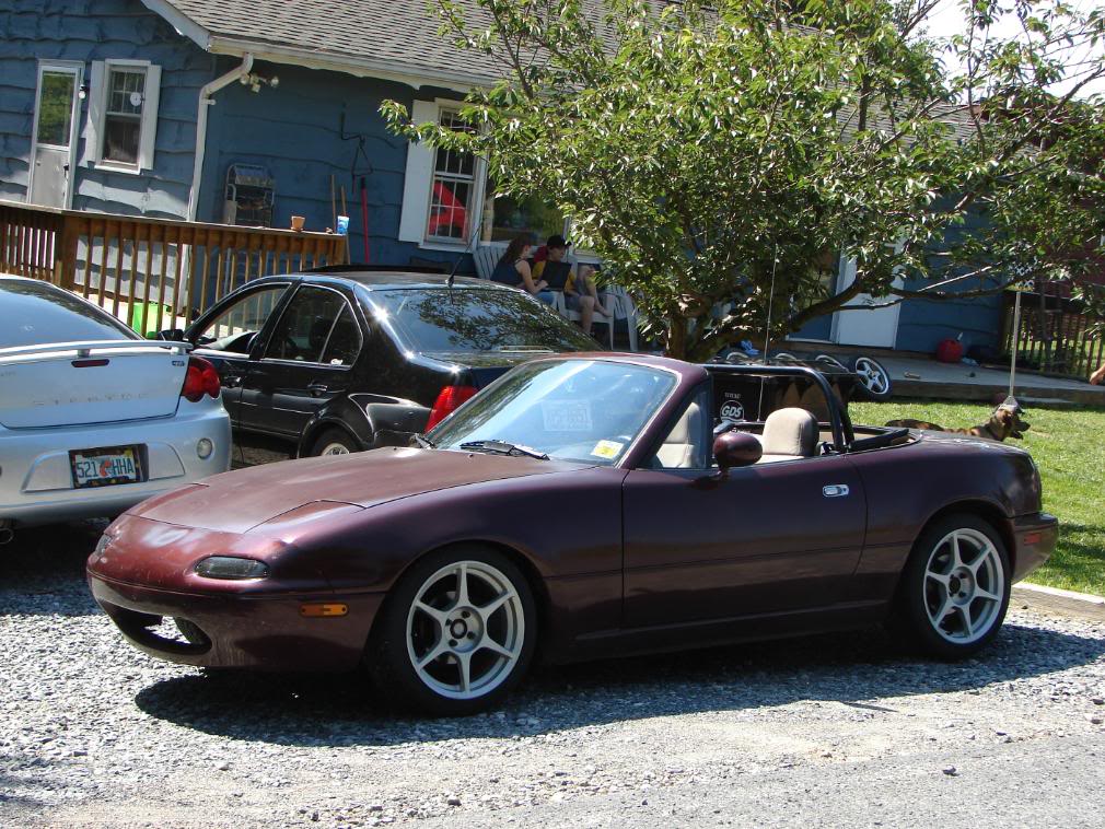 Name:  DSC05146.jpg
Views: 92
Size:  184.7 KB