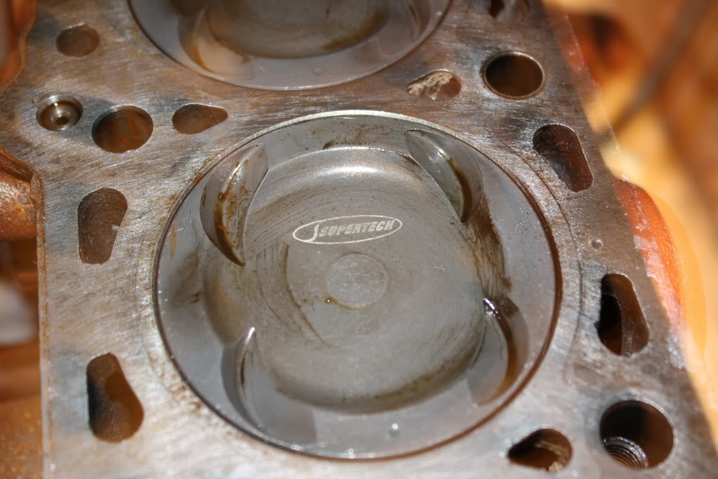 Name:  IMG_2231.jpg
Views: 105
Size:  129.2 KB