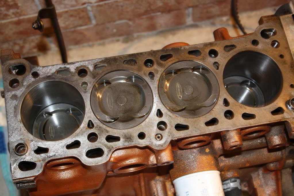 Name:  IMG_2230.jpg
Views: 107
Size:  146.0 KB