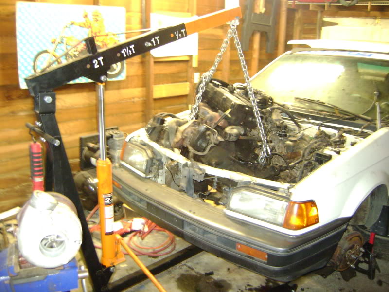 Name:  DSC02697.jpg
Views: 282
Size:  120.9 KB