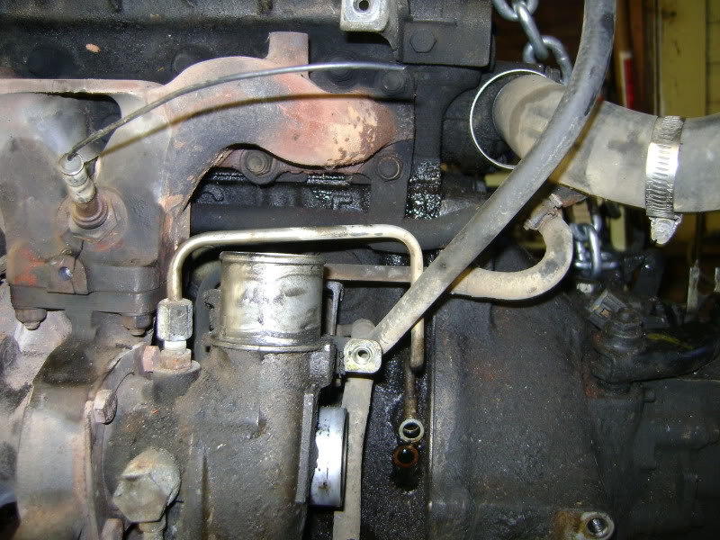 Name:  DSC02700.jpg
Views: 487
Size:  137.3 KB