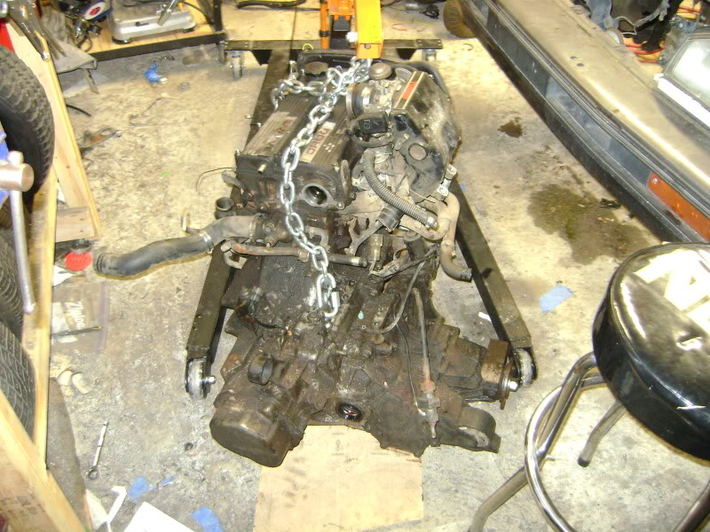 Name:  DSC02701.jpg
Views: 259
Size:  153.0 KB