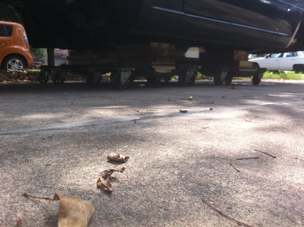 Name:  IMG_2224.jpg
Views: 166
Size:  161.3 KB