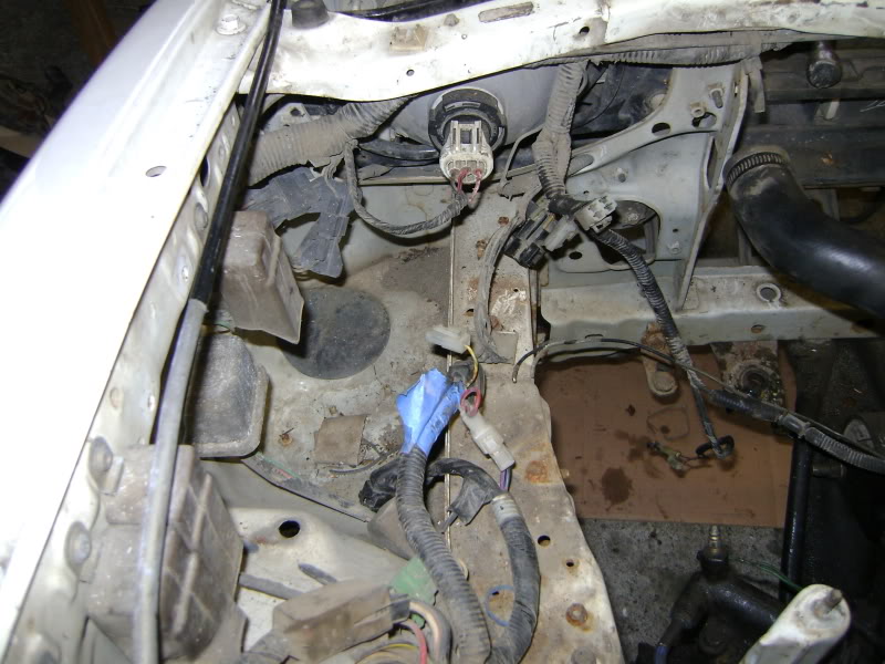 Name:  DSC02682.jpg
Views: 270
Size:  113.5 KB