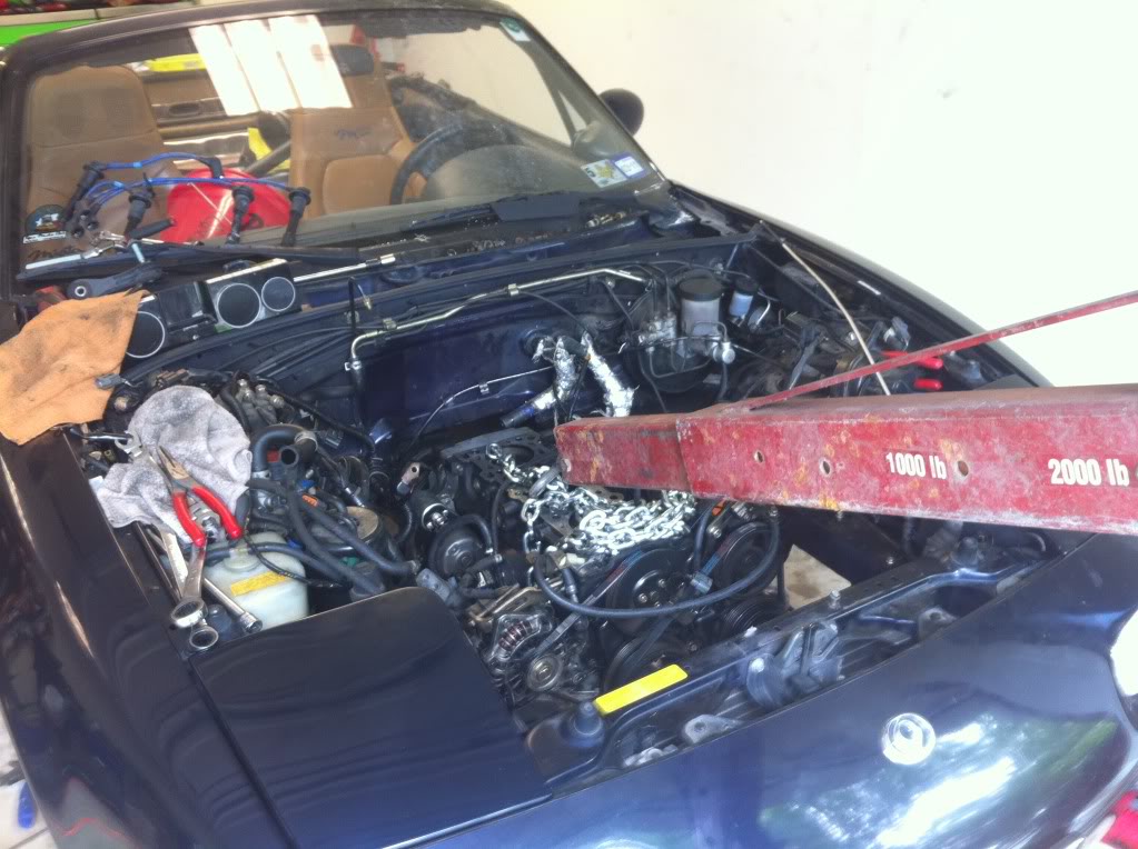 Name:  newmexicojuly188.jpg
Views: 172
Size:  125.3 KB