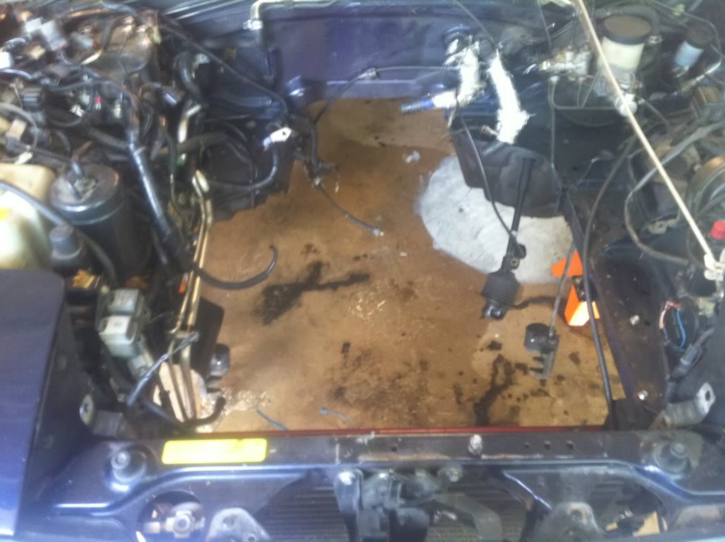 Name:  newmexicojuly195.jpg
Views: 179
Size:  105.2 KB