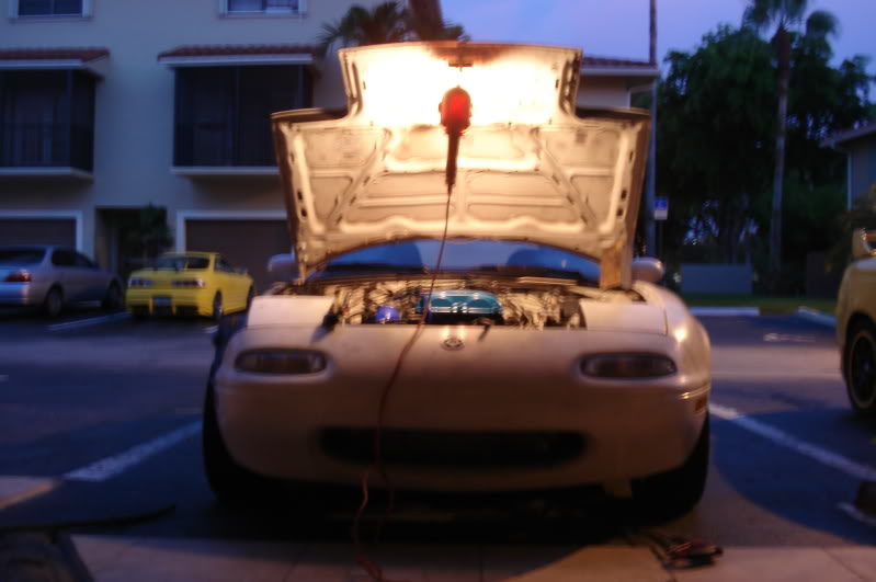 Name:  DSC09745.jpg
Views: 86
Size:  62.6 KB