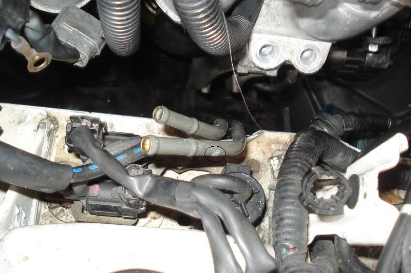 Name:  DSC09688.jpg
Views: 79
Size:  62.6 KB