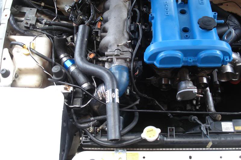 Name:  DSC09676.jpg
Views: 81
Size:  81.3 KB