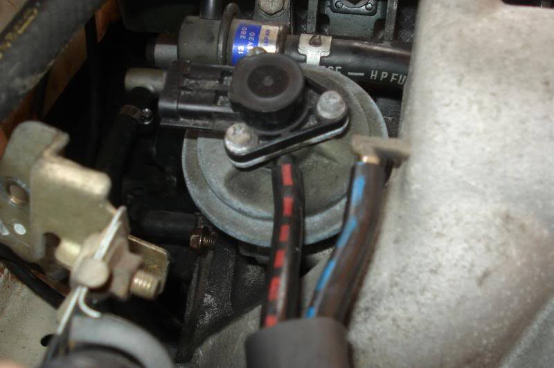 Name:  DSC09687.jpg
Views: 83
Size:  56.8 KB