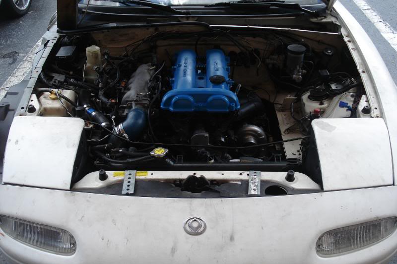 Name:  DSC09677.jpg
Views: 77
Size:  70.7 KB