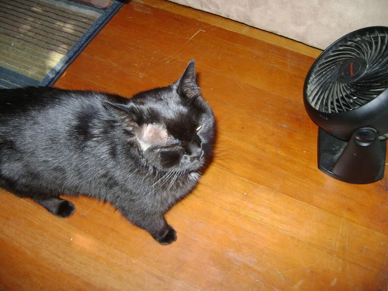 Name:  DSC02438.jpg
Views: 135
Size:  126.8 KB