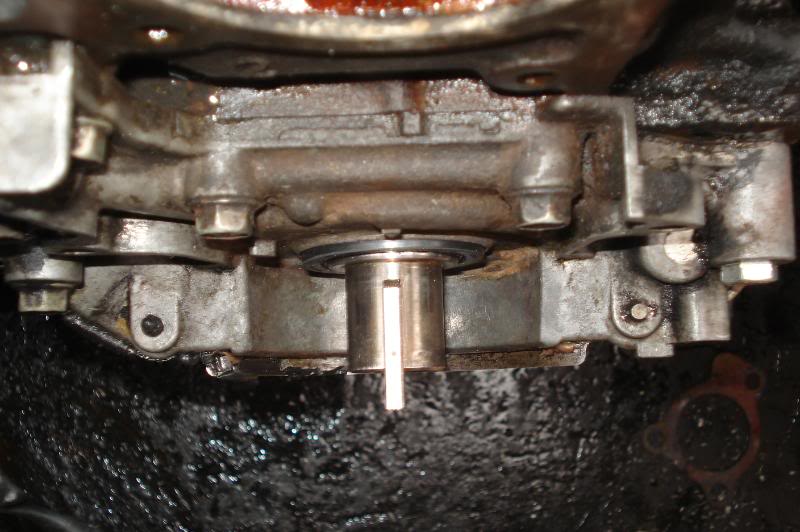 Name:  DSC09445.jpg
Views: 91
Size:  79.2 KB