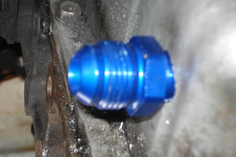 Name:  DSC09438.jpg
Views: 85
Size:  51.7 KB