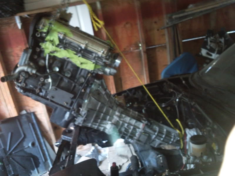 Name:  2010-07-07_193653.jpg
Views: 1325
Size:  103.0 KB