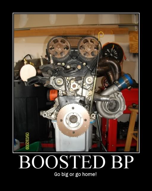 Name:  booestedbp2.jpg
Views: 156
Size:  52.1 KB