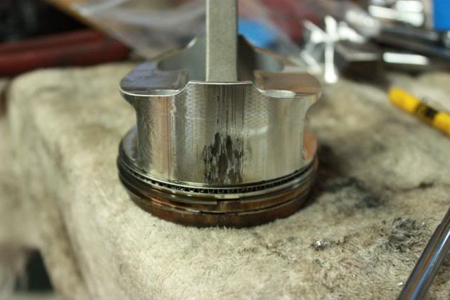 Name:  IMG_3169.jpg
Views: 278
Size:  41.7 KB