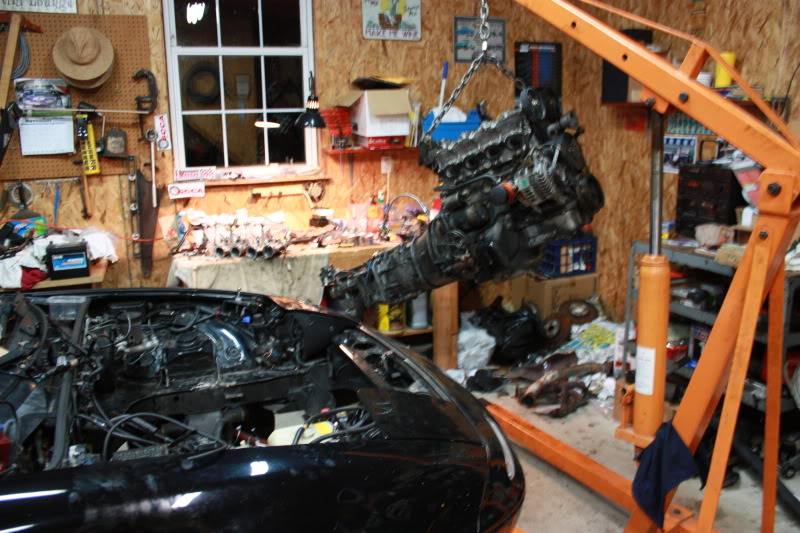 Name:  IMG_3974_1.jpg
Views: 267
Size:  125.8 KB