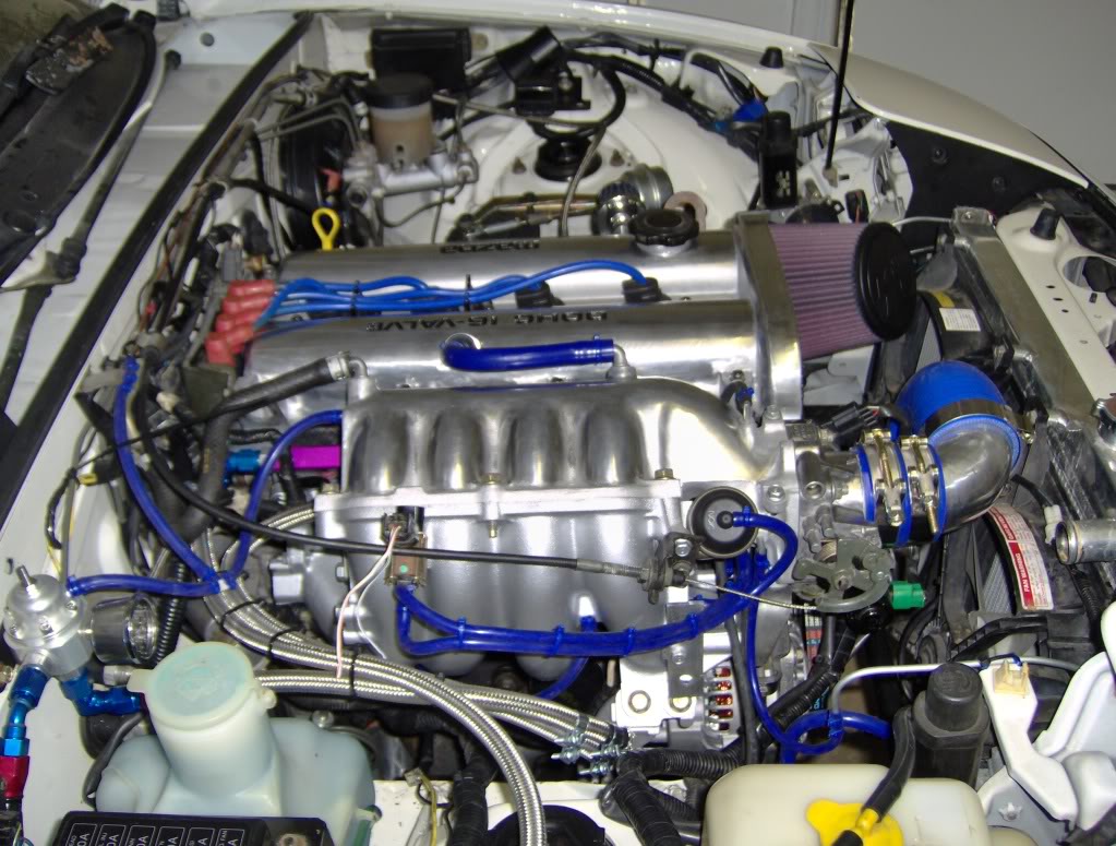 Name:  HPIM0499.jpg
Views: 188
Size:  182.5 KB