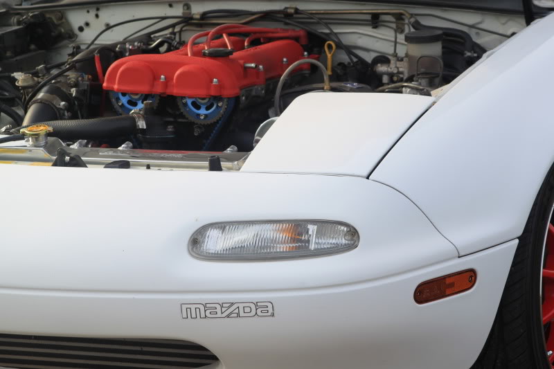 Name:  IMG_0093.jpg
Views: 86
Size:  75.2 KB