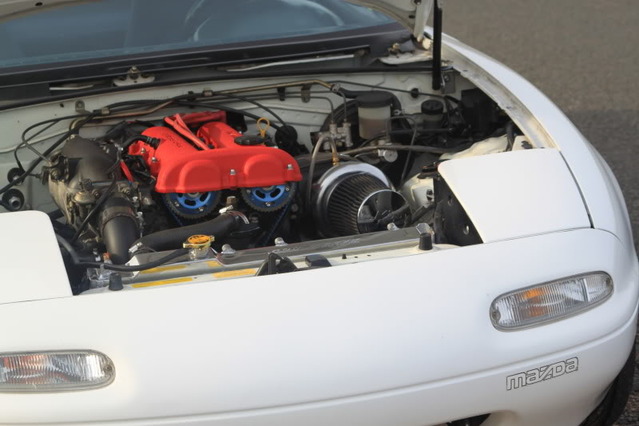 Name:  IMG_0095.jpg
Views: 73
Size:  88.5 KB