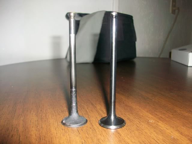 Name:  100_0550.jpg
Views: 115
Size:  74.0 KB