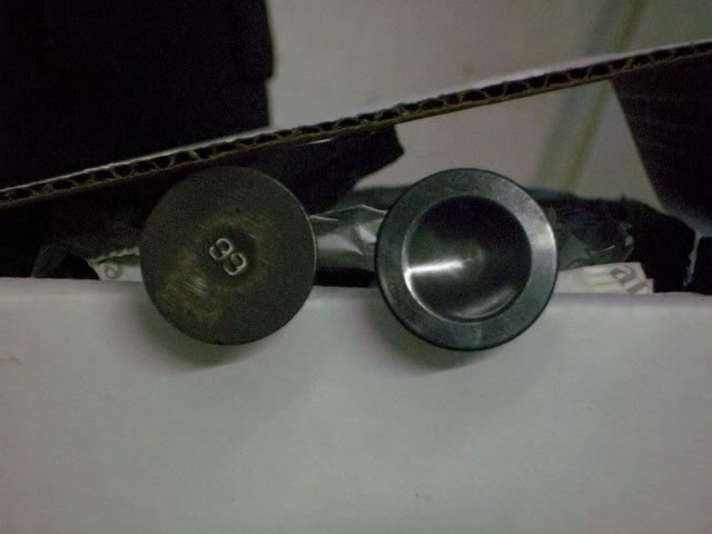 Name:  100_0553.jpg
Views: 101
Size:  49.3 KB