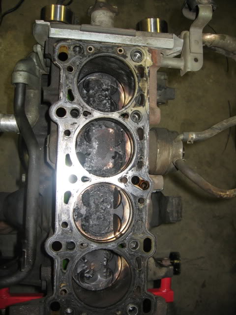 Name:  IMG_0144.jpg
Views: 142
Size:  70.5 KB